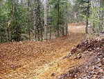 land clearing